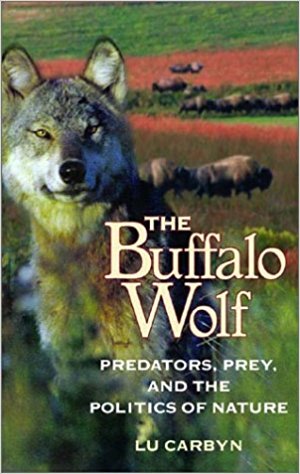 Buffalo Wolf by Lu Carbyn, winner of the Canadian Geographic Society's Best Wildlife Book of the Year.